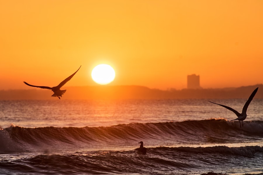 Đại dương “bốc hỏa”, khí hậu toàn cầu thêm bất ổn