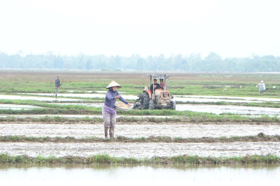 Nông dân Quảng Phú tất bật xuống giống vụ đông xuân 2025 - 2026