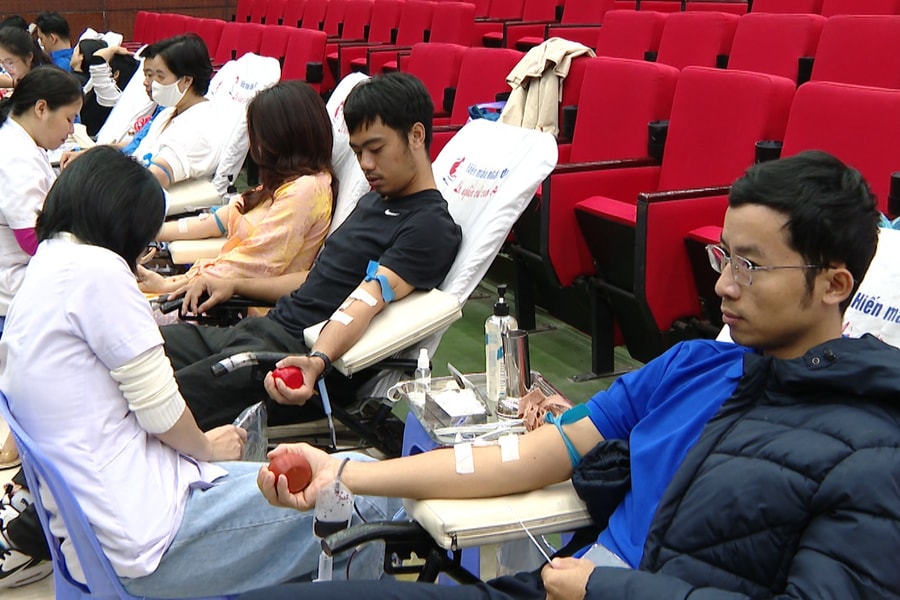Phường Sơn Trà phát động hiến máu tình nguyện năm 2026