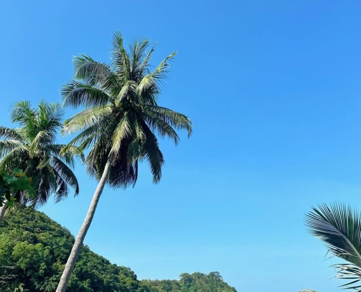 Khám phá đảo Nam Du: Điểm đến hoang sơ khiến siêu mẫu Anh Thư khen 'đẹp đến mức từ ngữ cũng xin thua'