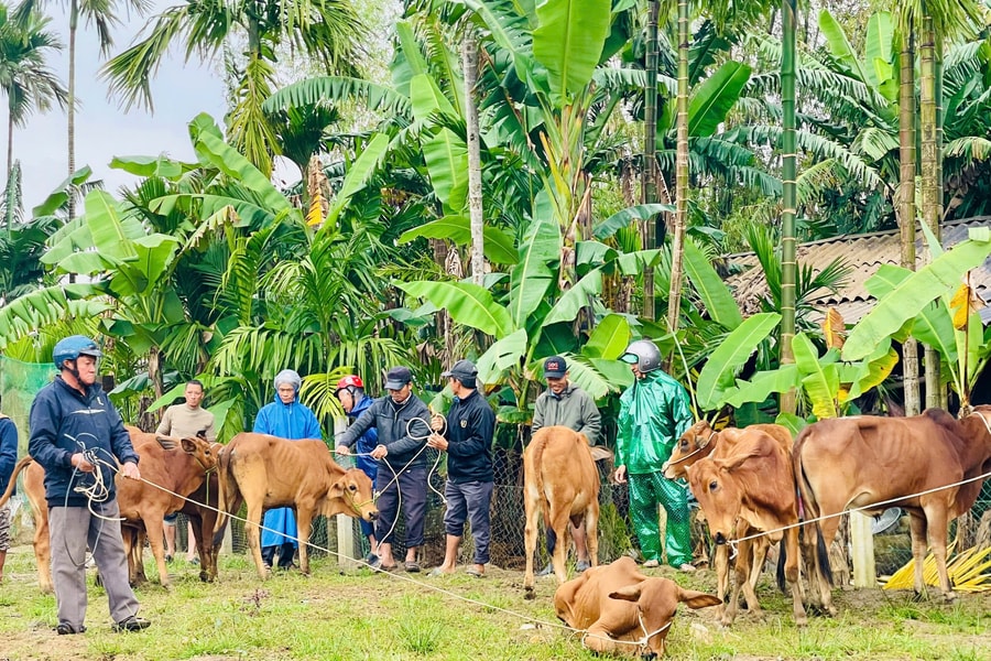 Trao sinh kế, giúp người yếu thế vươn lên