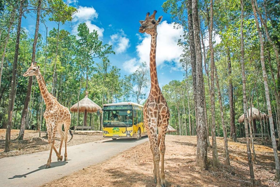 Vinpearl Safari Phú Quốc: Kinh nghiệm khám phá vườn thú bán hoang dã quy mô 380ha