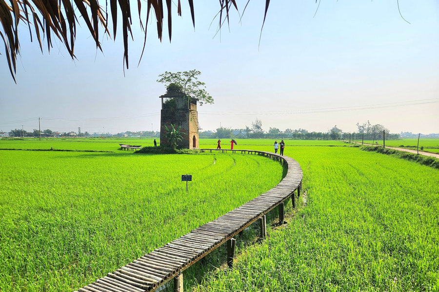 Da Nang’s rural tourism impresses visitors