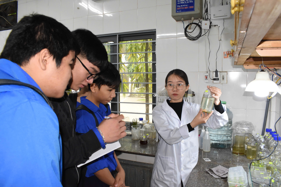 Học dưới áp lực điểm số