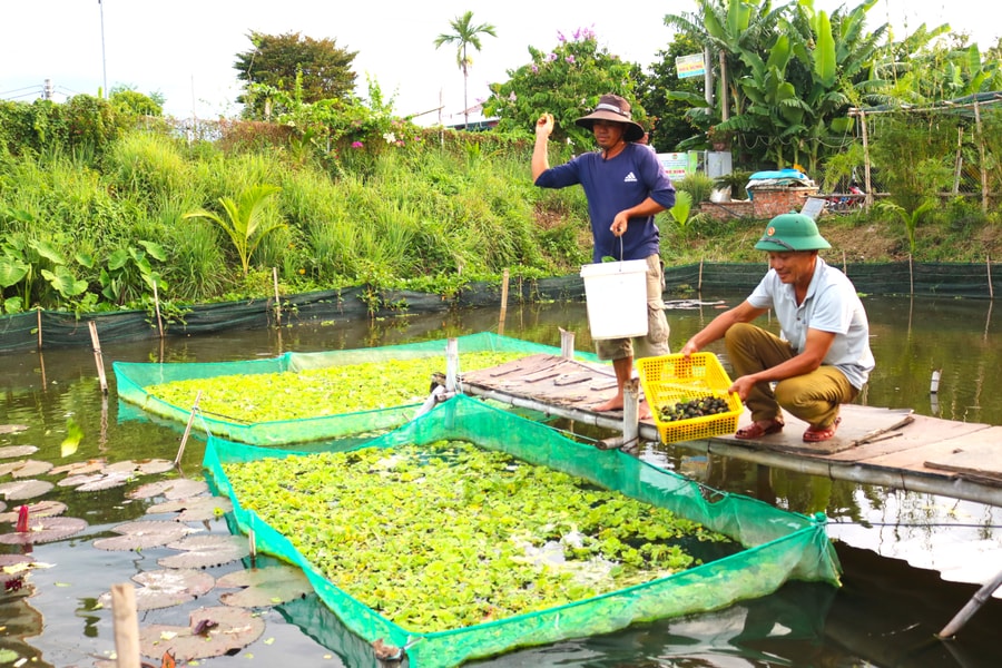 Điểm tựa giúp nông dân phát triển kinh tế