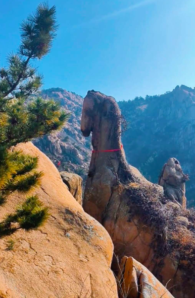 Thanh Đảo: Tảng đá hình ngựa trên núi Đại Chu hút khách check-in dịp Tết Bính Ngọ 2026