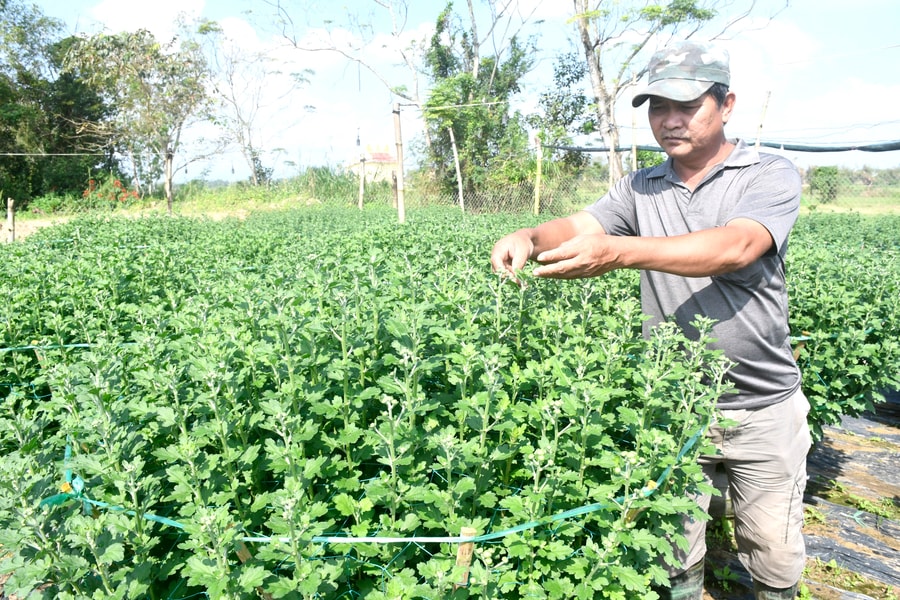 Tín dụng hỗ trợ tăng trưởng hai con số