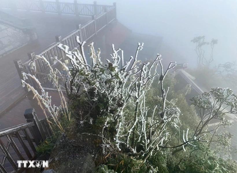 Các tỉnh, thành phố chủ động ứng phó với rét đậm, rét hại và gió mạnh trên biển