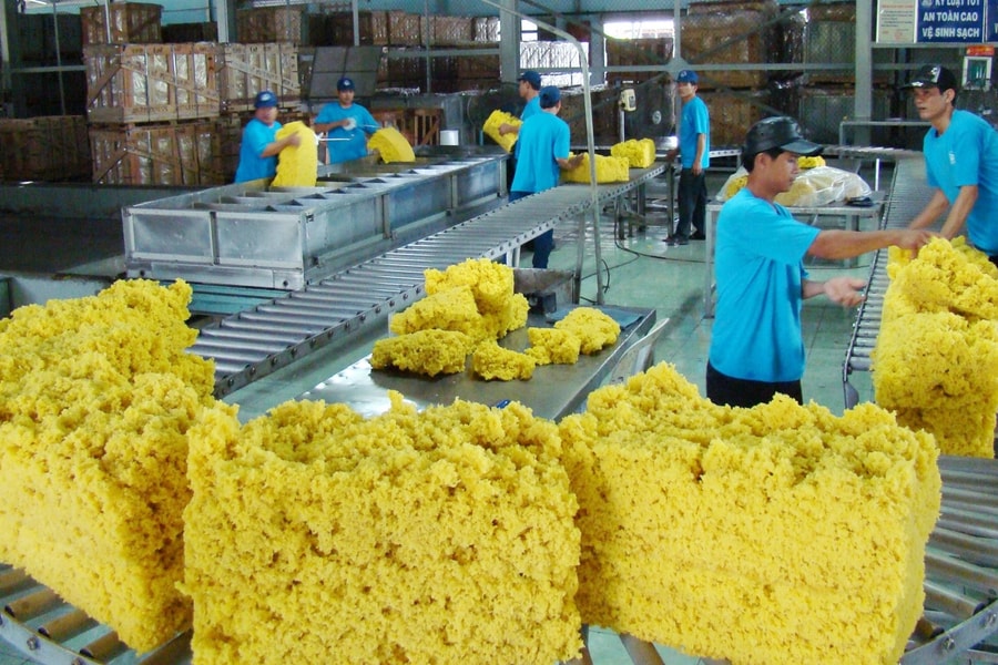 Cung cao su toàn cầu năm 2025 dự báo thiếu hụt 700.000 tấn so với nhu cầu