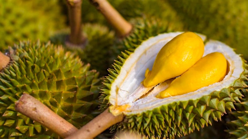 Giá sầu riêng hôm nay 24/1: Duy trì ổn định, mức cao nhất đạt 90.000 đồng/kg