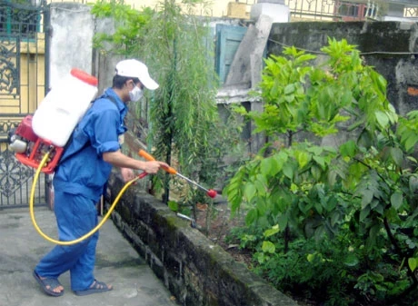 Núi Thành mở đợt phòng chống sốt xuất huyết