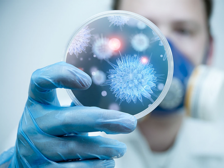 Tăng cường công tác giám sát, phòng, chống dịch bệnh do virus Nipah