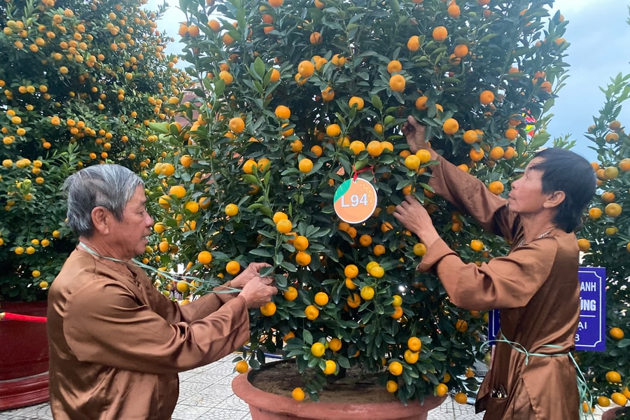Điểm hẹn quật cảnh Cẩm Hà