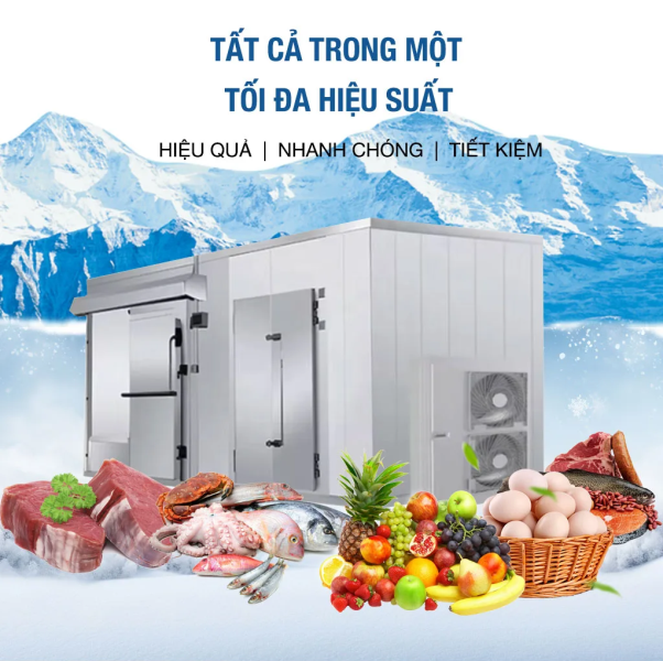 Thiết kế kho lạnh đạt chuẩn chất lượng, tối ưu kinh phí với Điện Lạnh Trần Tùng