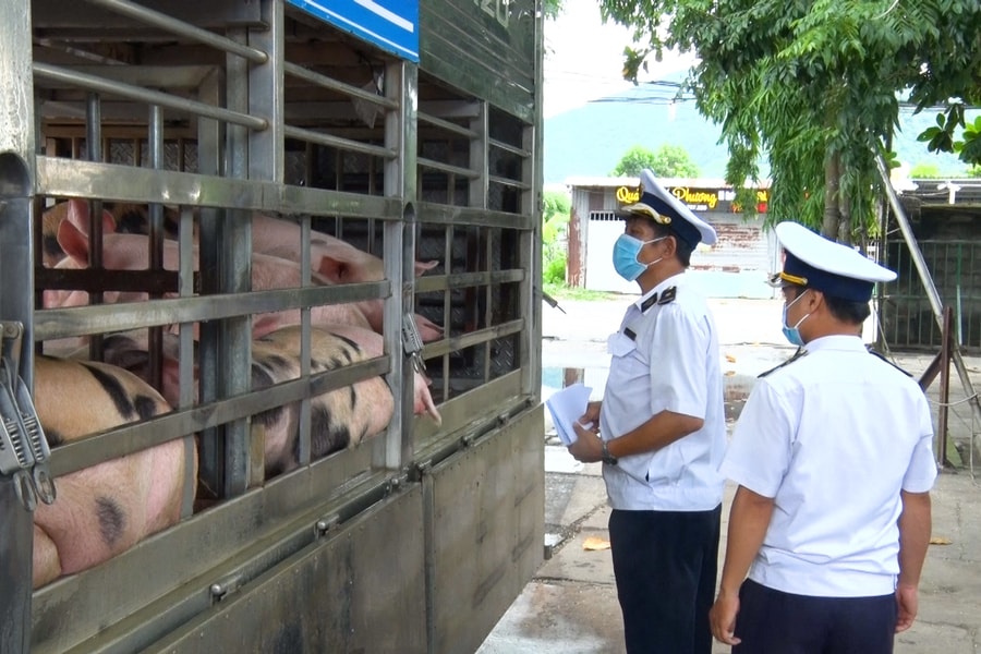 Bảo đảm nguồn thực phẩm an toàn dịp Tết