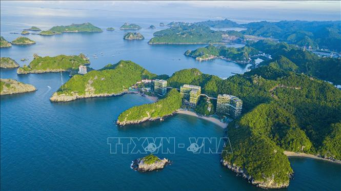 Wild Vietnam, the mysterious beauty of nature reborn