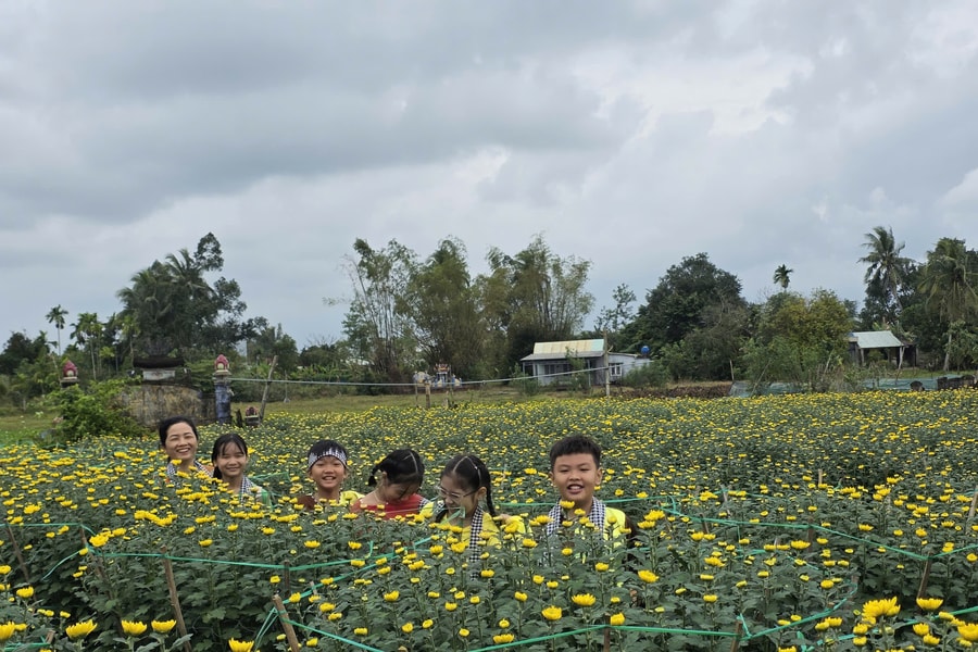Kỳ vọng du lịch làng hoa cúc Hà Đông