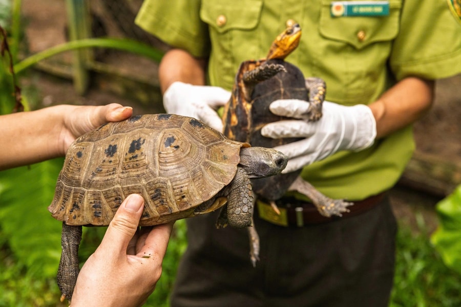 Germany - Vietnam project on special-use forest conservation in Vietnam