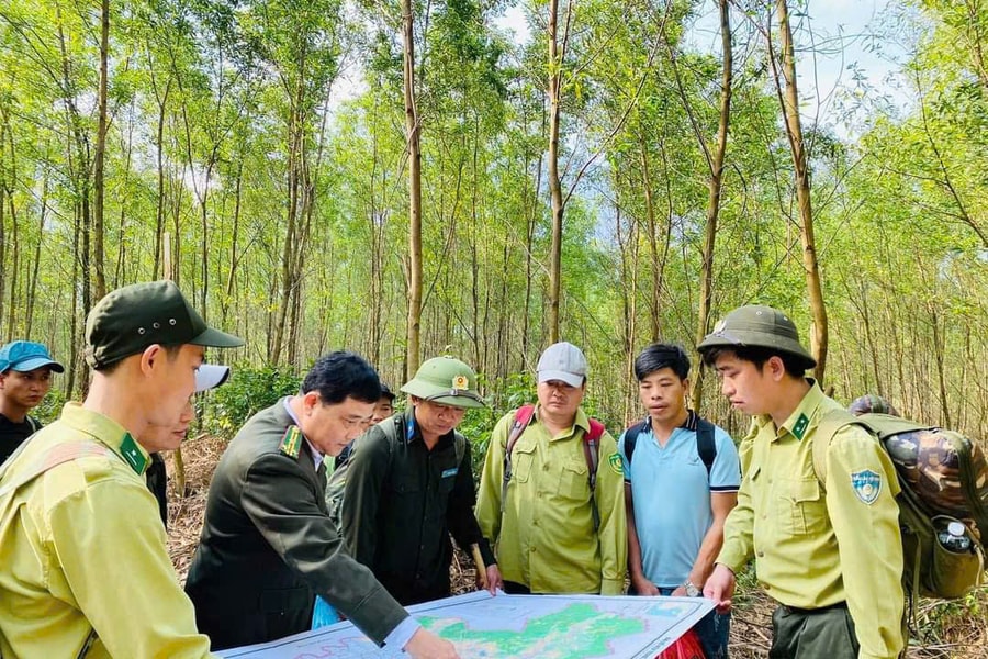 Giữ rừng dịp Tết