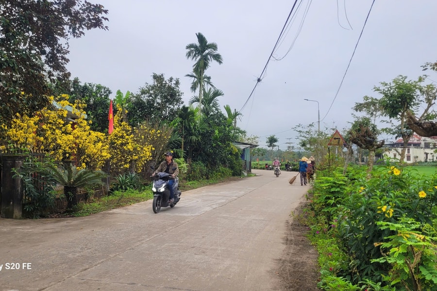 Mùa xuân chái bếp thơm lừng