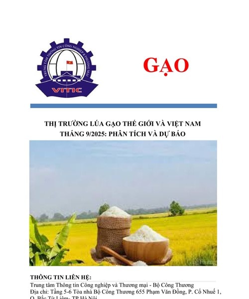 Thị trường lúa gạo thế giới tháng 9/2025: Giá xuất khẩu giảm tại các nước trọng điểm