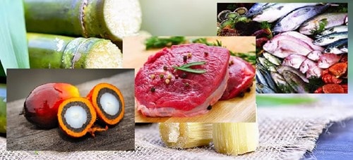 Giá thực phẩm tháng 10/2025: Dầu cọ và đường tăng cao, cá tra Việt Nam bứt phá tại Brazil