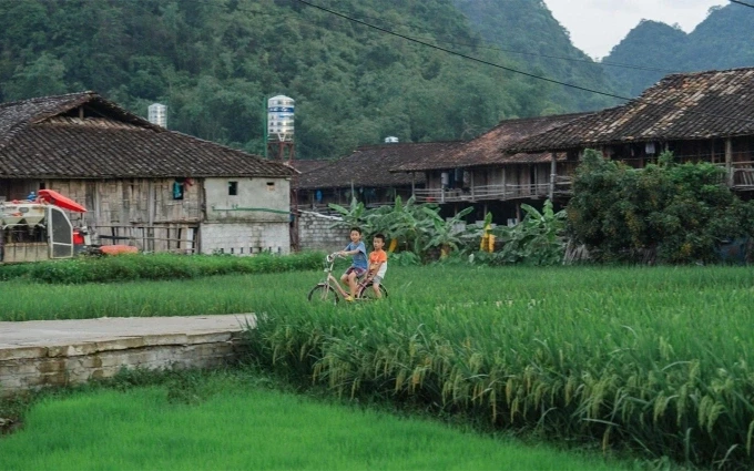 5 làng du lịch Việt Nam tốt nhất thế giới: Hành trình trải nghiệm Tết độc đáo