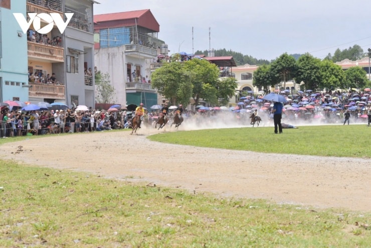 Bắc Hà: Trải nghiệm nhịp đập vó ngựa và văn hóa phiên chợ cao nguyên trắng