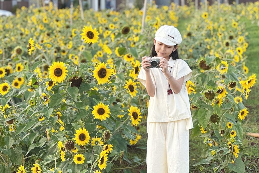Du xuân trên cung đường đất đỏ bazan