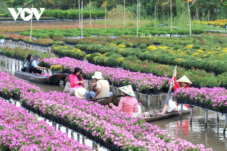 Sa Đéc: Khám phá vương quốc hoa trăm tuổi rực rỡ nhất miền Tây