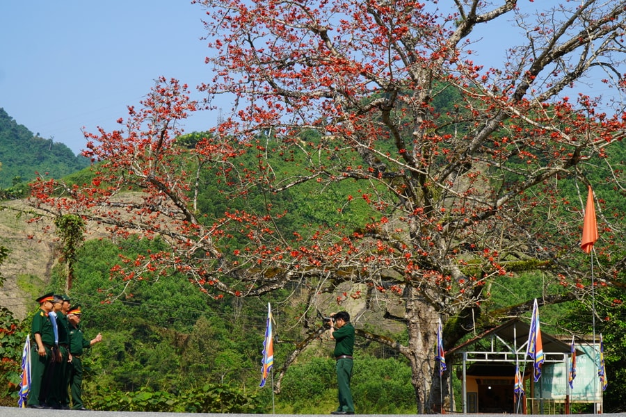Bến Giằng, mùa hoa gạo nở