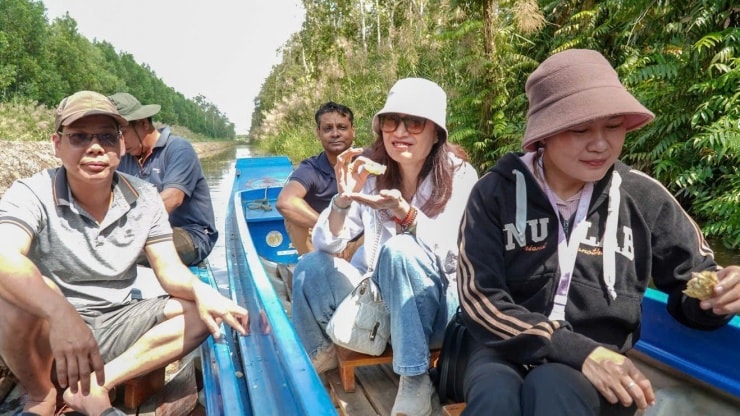 Cà Mau: Độc đáo trải nghiệm ăn ong và thưởng thức mật ngọt giữa rừng tràm U Minh Hạ