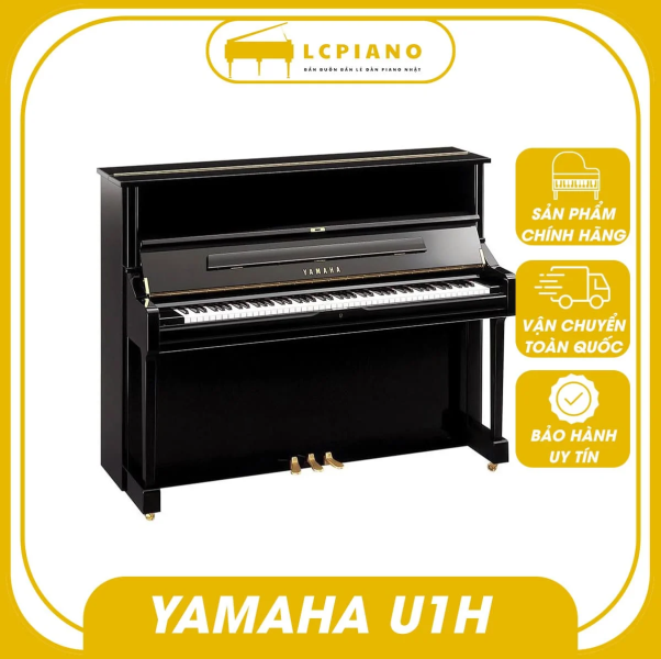 LCPIANO - Tổng kho đàn piano cũ nhập khẩu chính hãng