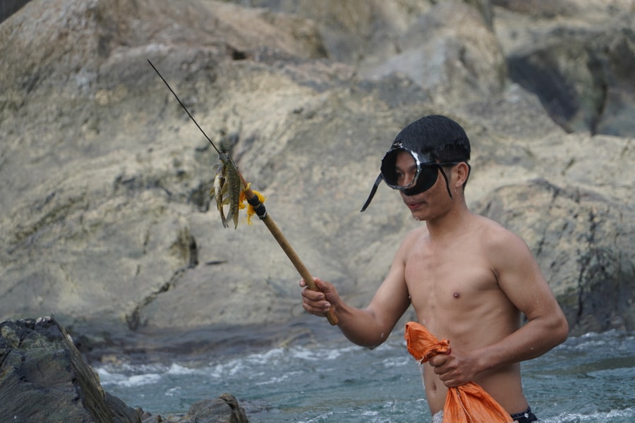 Mùa săn cá niên trên dòng sông Tranh