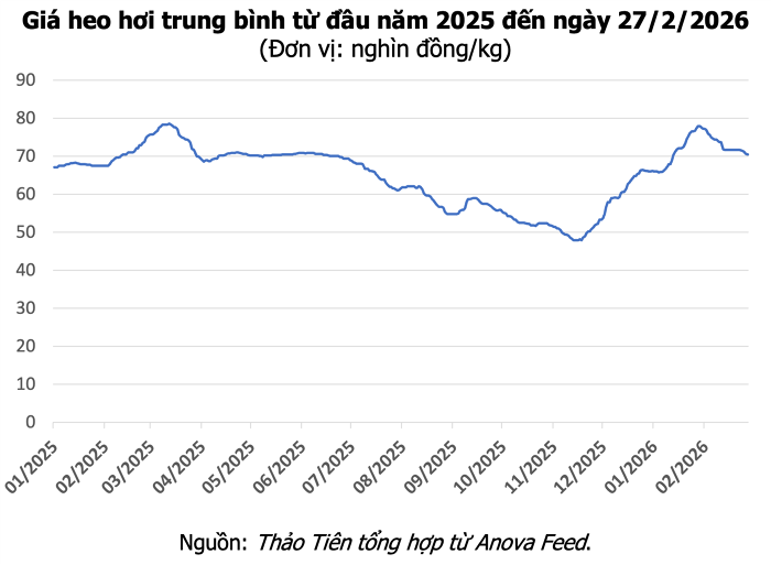 Giá heo hơi hôm nay 27/2: Nhiều tỉnh miền Bắc và miền Trung giảm giá 1.000 đồng/kg