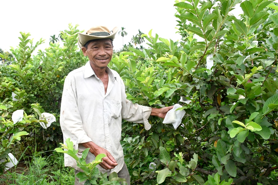 Minh bạch để phát triển chuỗi nông sản bền vững