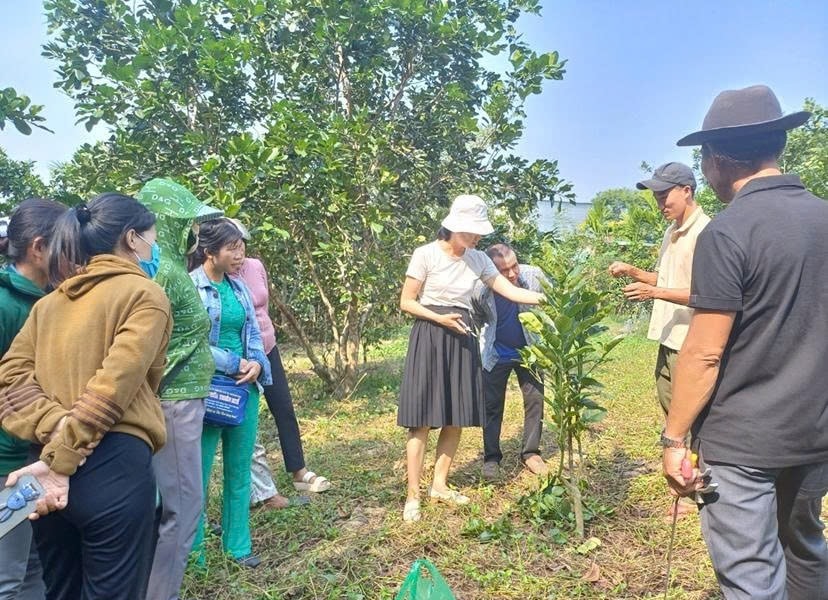 Xây dựng thương hiệu trái cây Tiên Phước