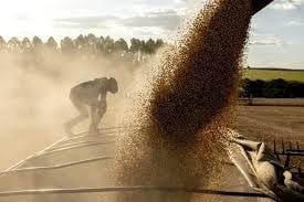 Eo biển Hormuz gián đoạn đe dọa 30 triệu tấn lương thực, giá tại Iran tăng 105%