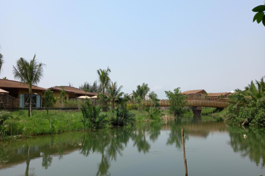 Cồn bãi cuối sông mẹ Thu Bồn
