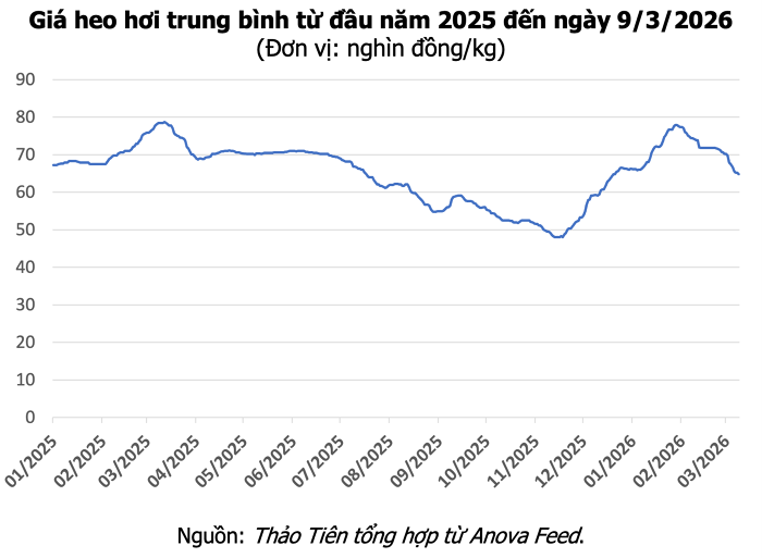 Giá heo hơi hôm nay 9/3: Giảm diện rộng 1.000 - 2.000 đồng/kg trên cả nước