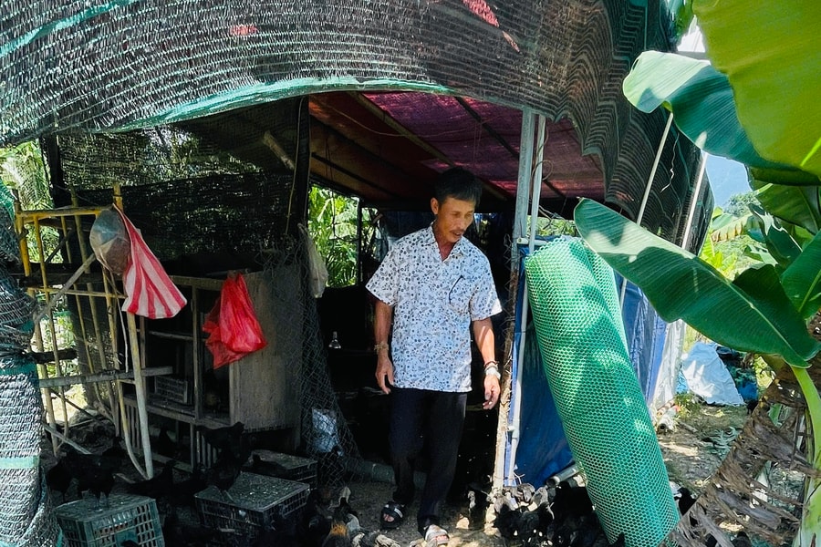 Tái đàn an toàn, kiểm soát dịch bệnh