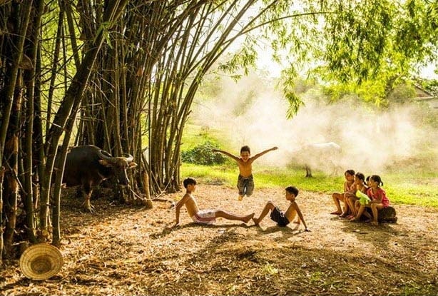 Dưới bóng tre làng