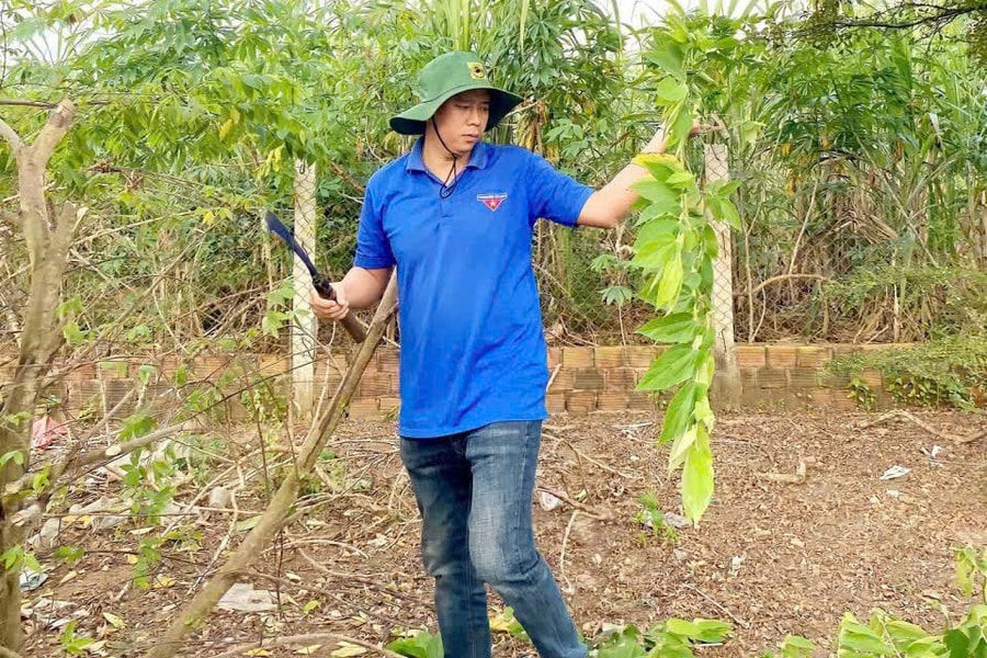 Phát huy vai trò thanh niên