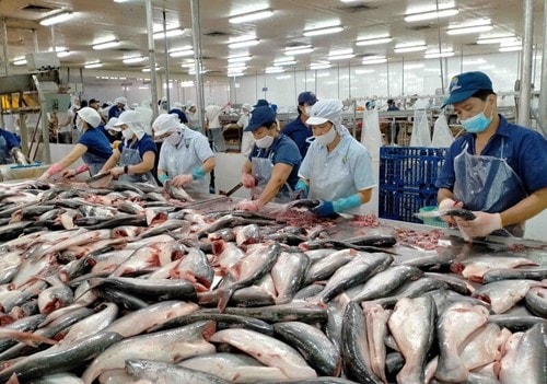 Xuất khẩu thủy sản sang Bắc Âu bắt buộc dùng hệ thống CATCH từ ngày 10/1/2026