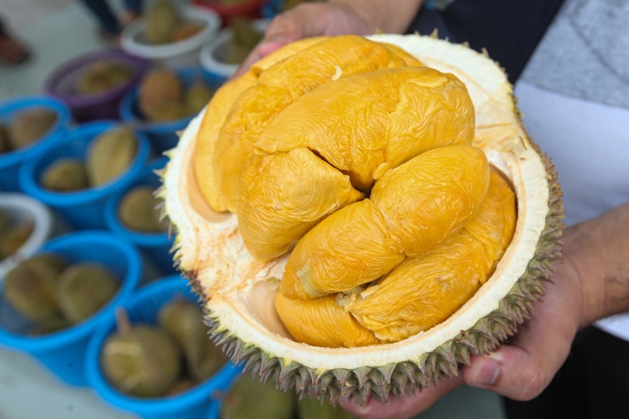 Mạng xã hội biến sầu riêng thành “hộ chiếu” du lịch Malaysia