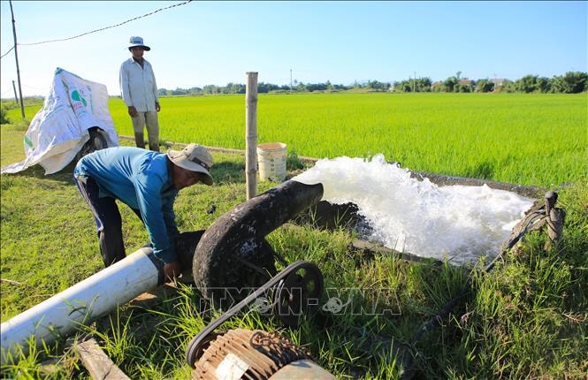 Chủ động phòng, chống hạn hán và xâm nhập mặn trên địa bàn thành phố Đà Nẵng