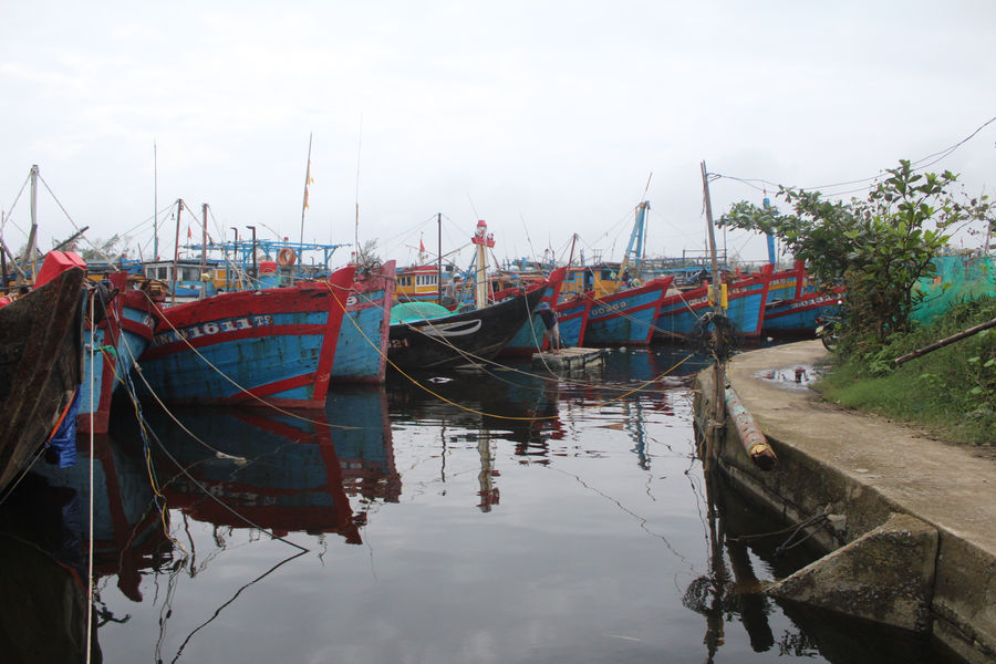 Tăng cường hỗ trợ ngư dân thực hiện thủ tục hành chính về tàu cá, khai thác thủy sản
