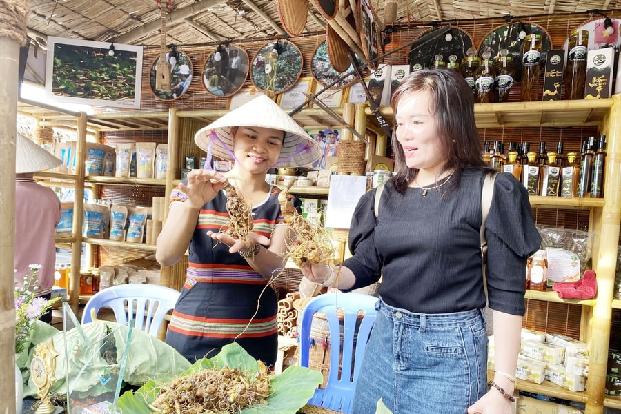 Siết chặt truy xuất nguồn gốc sâm Ngọc Linh