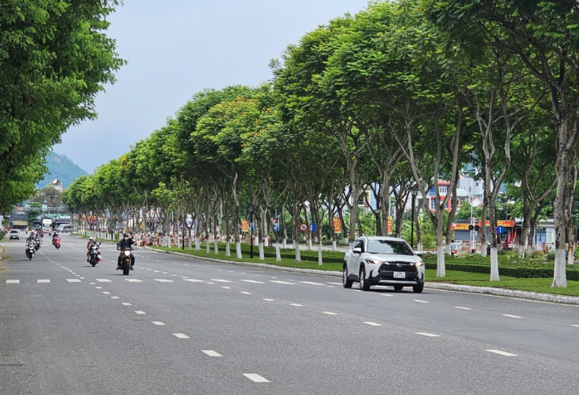 Đường phố nhiều tán cây