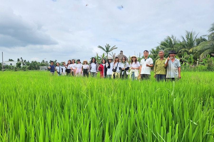 Đà Nẵng triển khai giải pháp phát triển nông nghiệp phát thải thấp